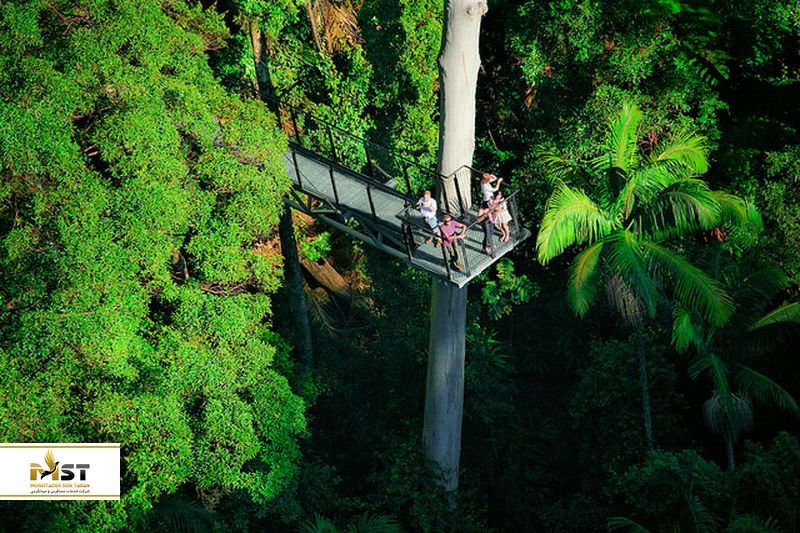 ایستگاه هوایی جنگل تامبرین