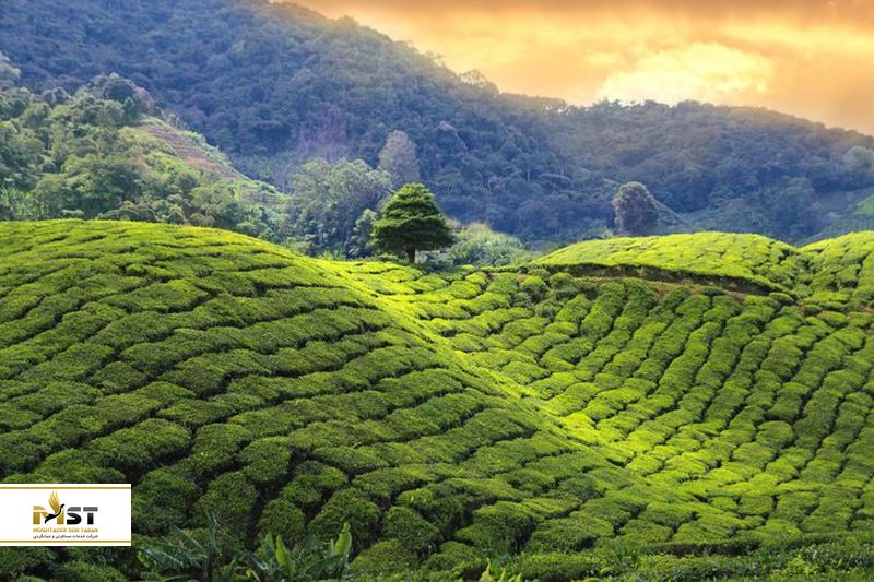 سری&zwnj;لانکا