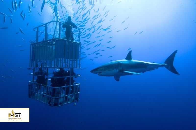 آفریقای جنوبی