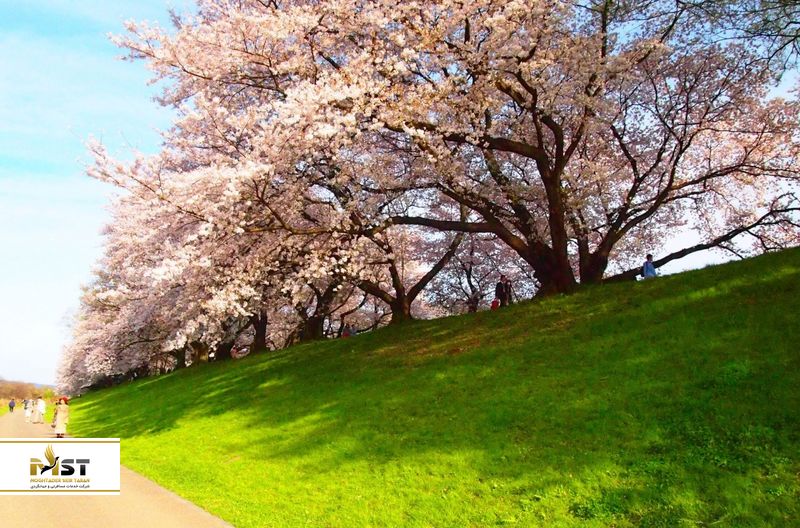 سفر در نوروز