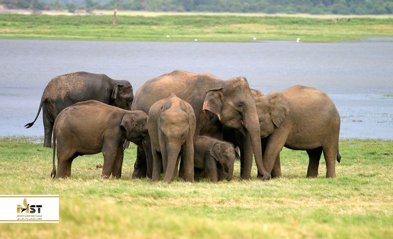 پارک ملی مینریا