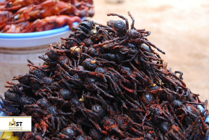 رتیل سوخاری