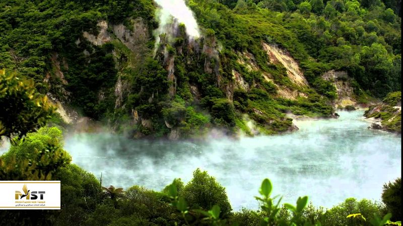 فرینگ پن در نیوزیلند