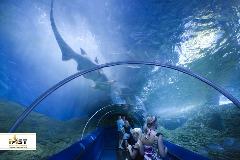 Aquarium of Western Australia