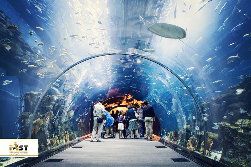 Dubai Mall Aquarium