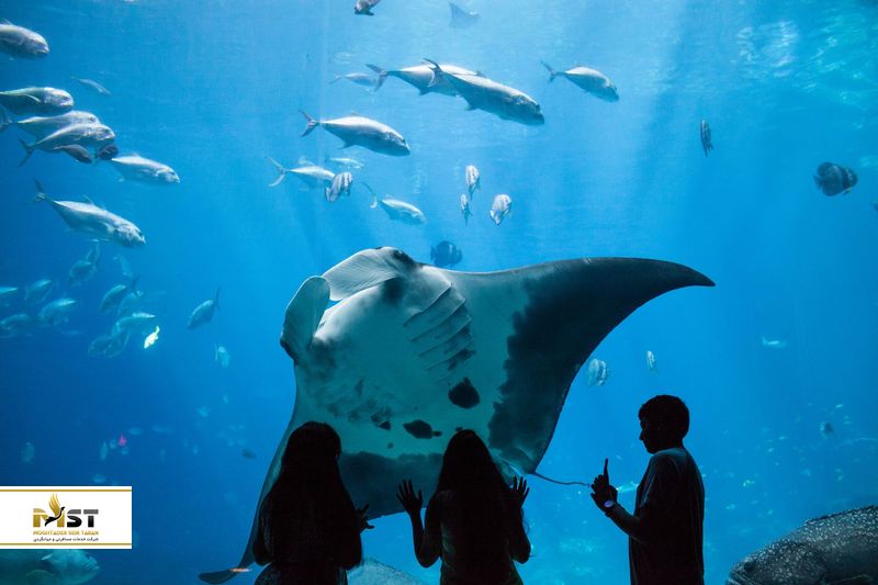 Georgia Aquarium