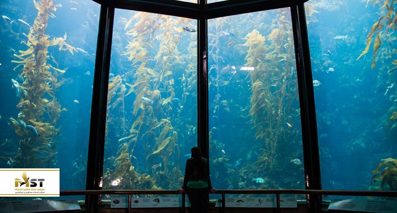 Monterey Bay Aquarium