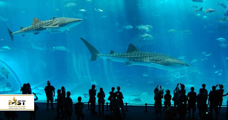 Okinawa Churaumi Aquarium