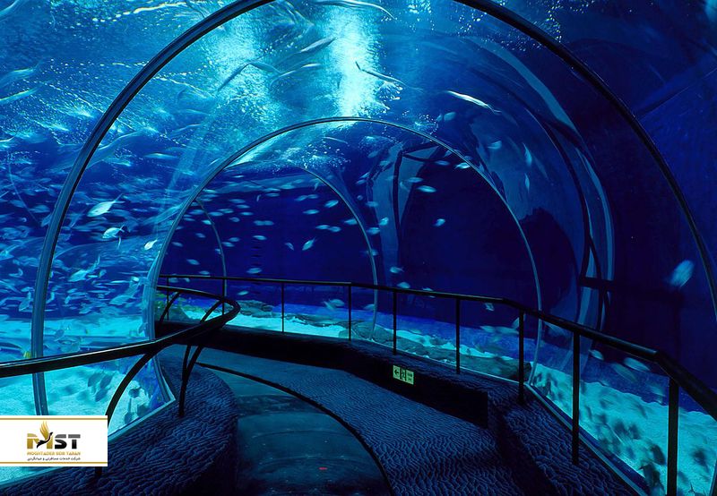 Shanghai Ocean Aquarium