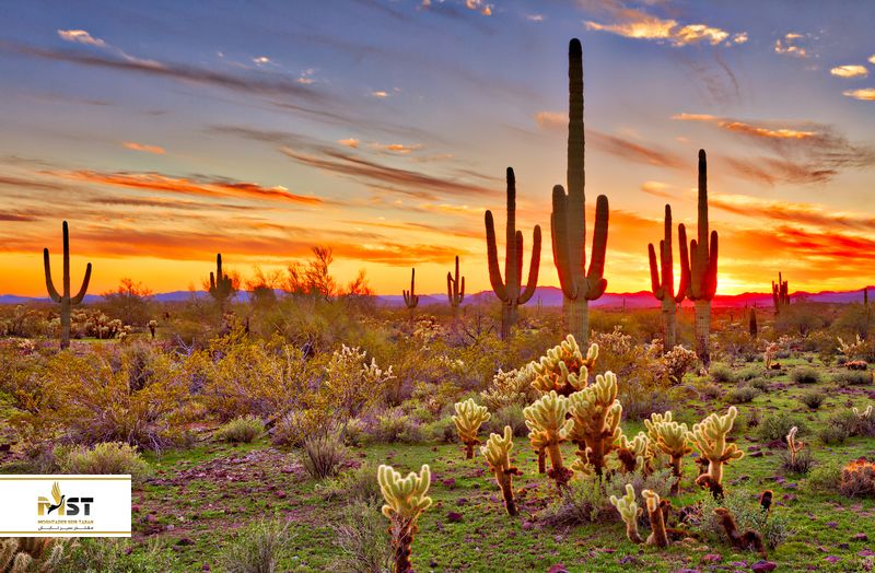 صحرای سوناران