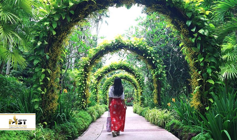 باغ گیاه&zwnj;شناسی سنگاپور