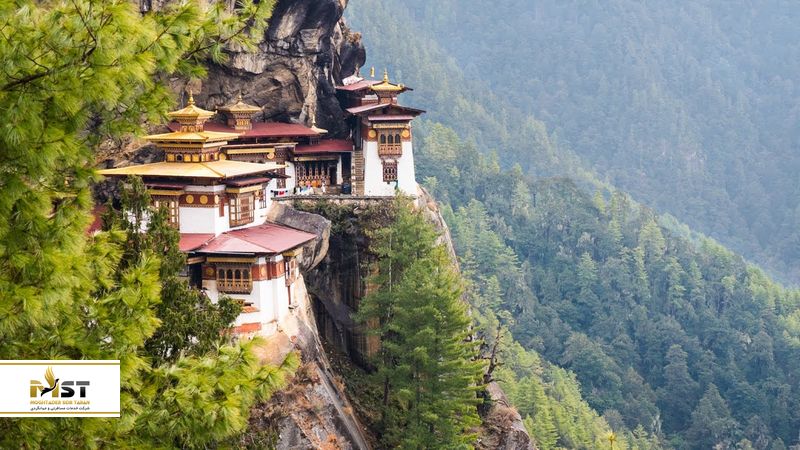 پارو تاکستان