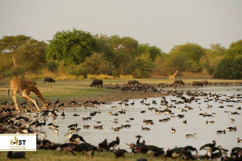 پارک ملی زاکوما