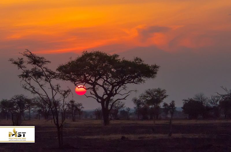 سرنگتی در تانزانیا