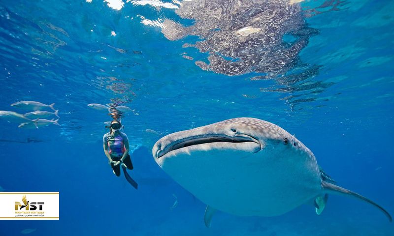 اوسلاب، فیلیپین