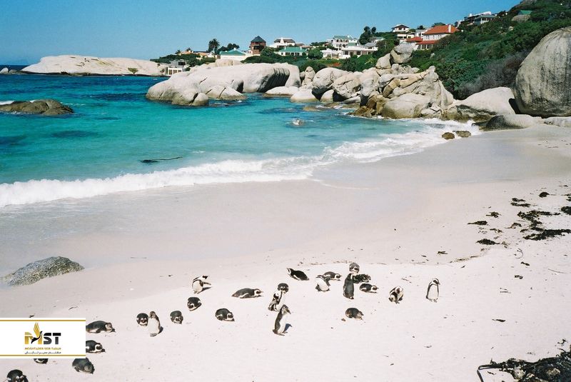  آفریقای جنوبی