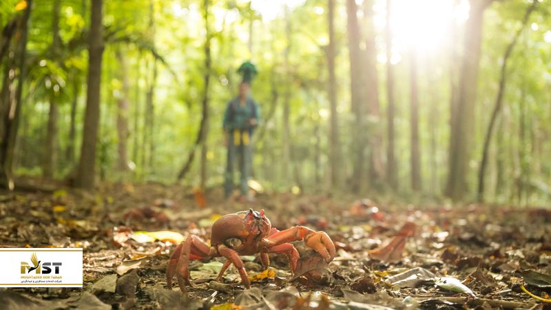 جزیره کریسمس