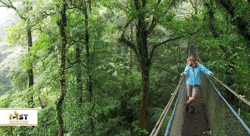  جنگل ابری مونته&zwnj;ورده