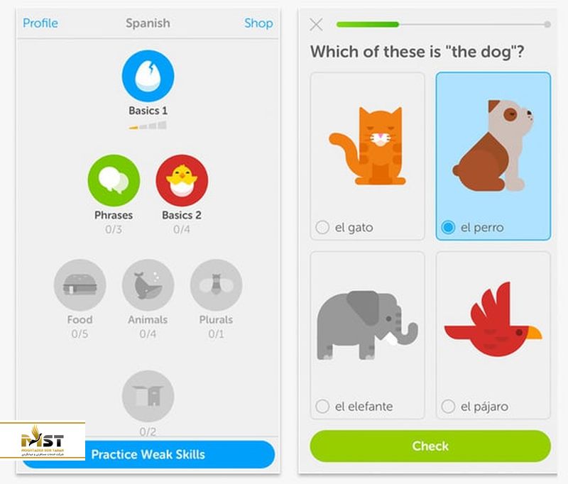 اپلیکیشن یادگیری زبان