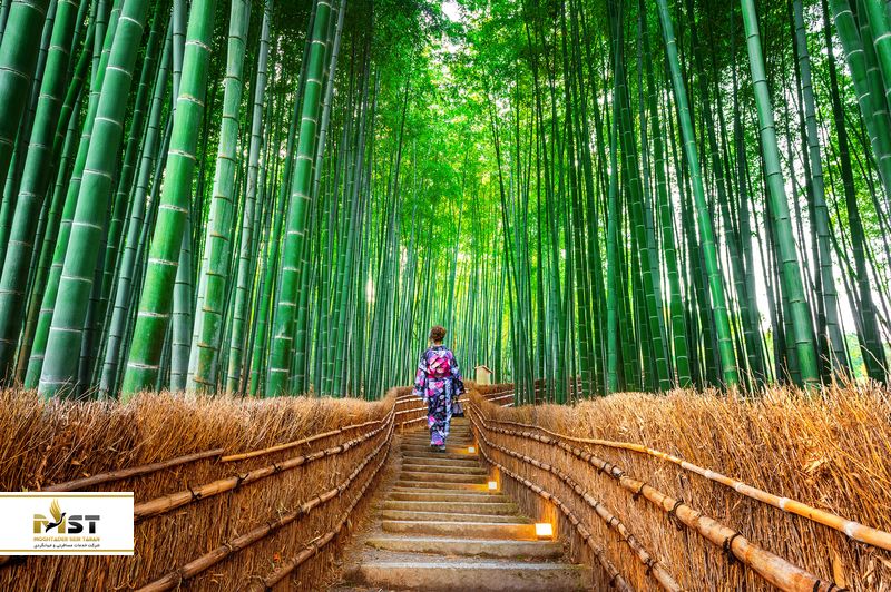 جنگل بامبوی ساگانو