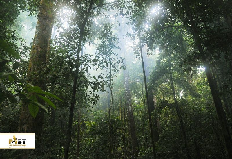 پارک ملی کوهستان کنیا