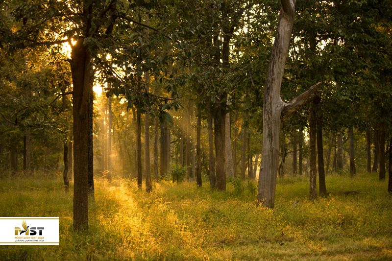 پارک ملی Pench