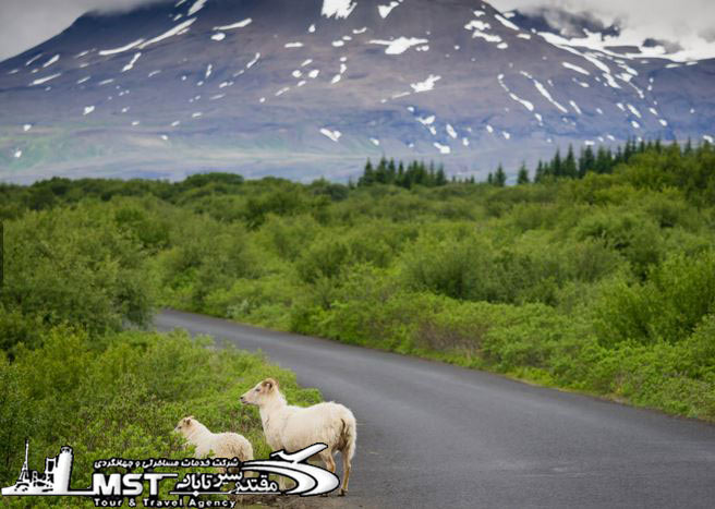 بیشتر سفر کنید,دلیل برای سفر بیشتر,تاثیرات سفر 