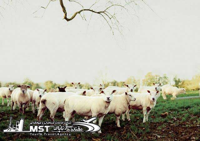  سفر کم خرج,سفر اروپا ارزان,قیمت های سفر های اروپایی