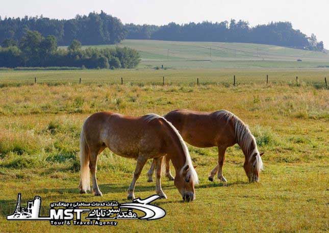  سفر کم خرج,سفر اروپا ارزان,قیمت های سفر های اروپایی