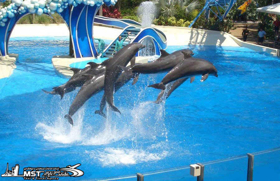 تفریح هایی که در مارماریس می توانید انجام دهید