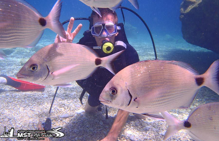 تفریح هایی که در مارماریس می توانید انجام دهید