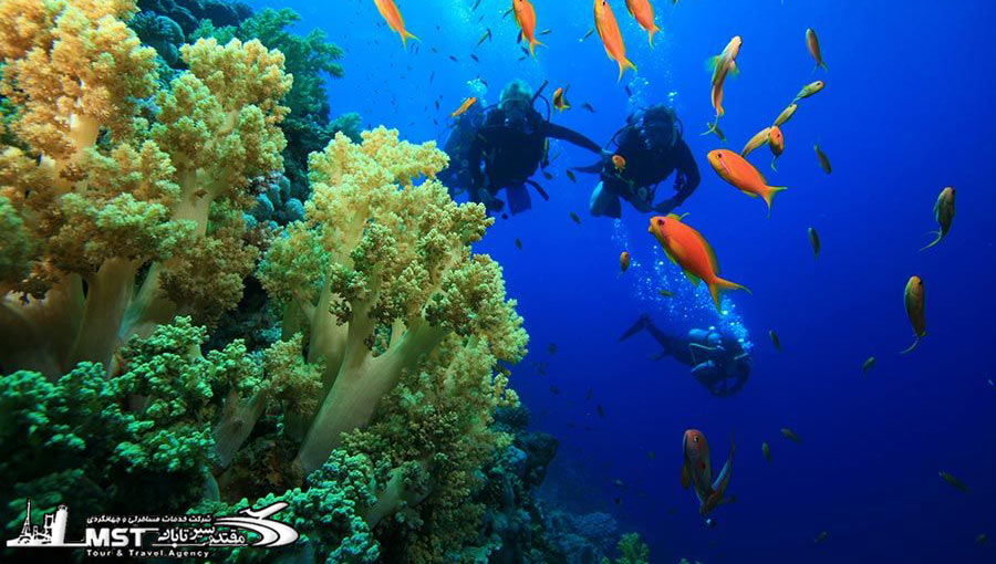 تفریح هایی که در مارماریس می توانید انجام دهید